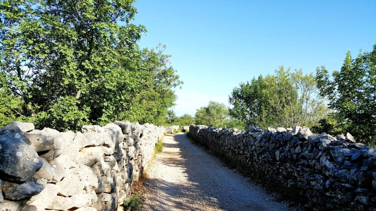Village House Fafarinka - Close To Krka National Park Konjevrate Exterior photo